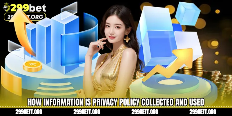 How Information is Privacy Policy Collected and Used