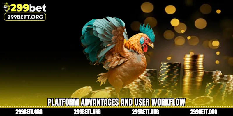 Platform Advantages and User Workflow