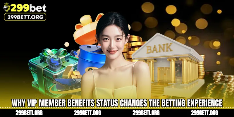 Why VIP member benefits status changes the betting experience